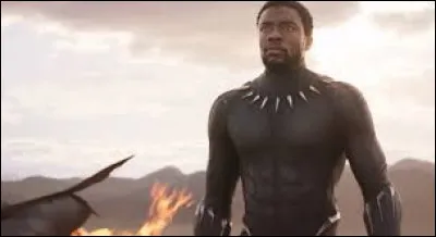Dans le film "Black Panther", qui incarne le rôle du super-héros alias le prince T'Challa ?