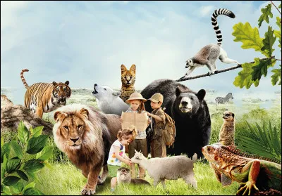 Quel animal est aussi responsable de la pollution ?