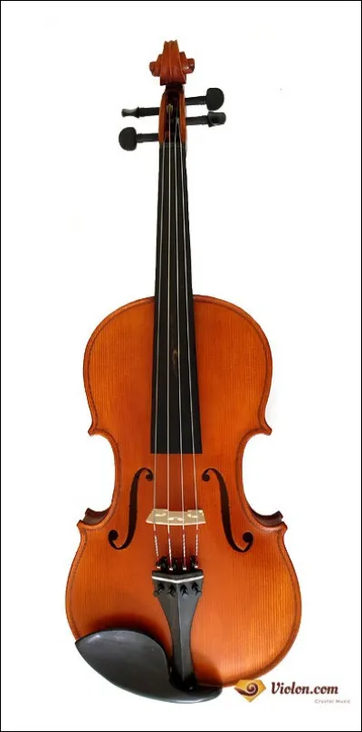 Quel est cet instrument de musique ?