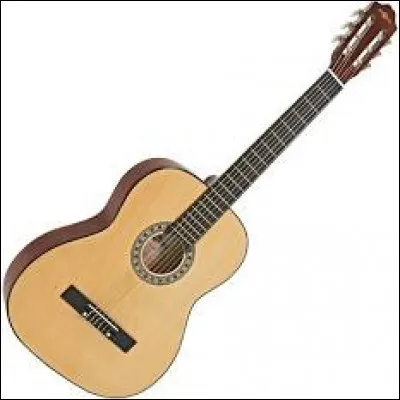 Quel est cet instrument de musique ?