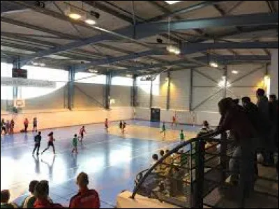 Quel est le nom du gymnase où le club évolue ?