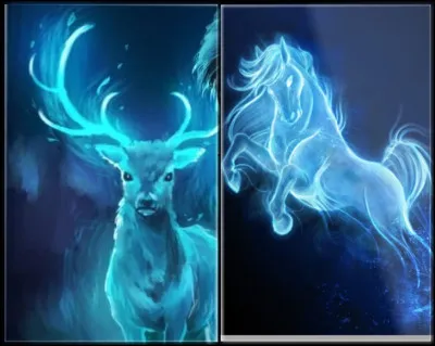 Maintenant, trouvez-moi à quel couple appartiennent ces 2 patronus.