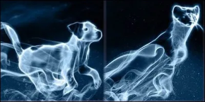 Cochez les prénoms des deux personnages à qui appartiennent ces patronus et qui forment un couple.