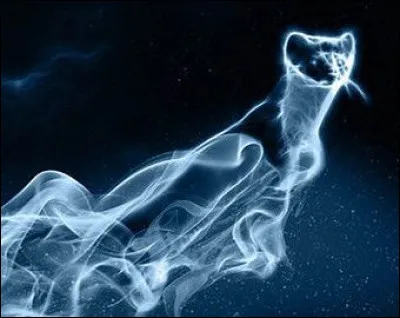 Quel est ce patronus ? À qui appartient-il ?