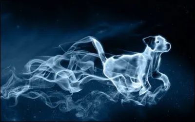 Voici le patronus de Ron. Quel est sa race ?