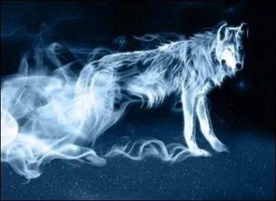 Qui a déjà eu un patronus en forme de loup ?