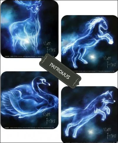 Cochez les personnages qui ont le même patronus.