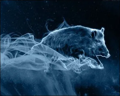 Et quand je parle de sanglier, que me répondez-vous ?