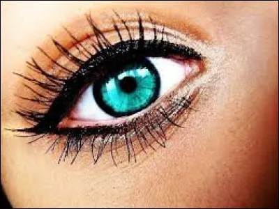 De quelle couleur sont tes yeux ?