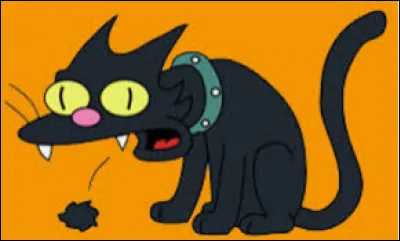 Quel est le nom de leur chat ?