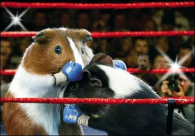 Trouvez le nom d'un sportif célèbre !