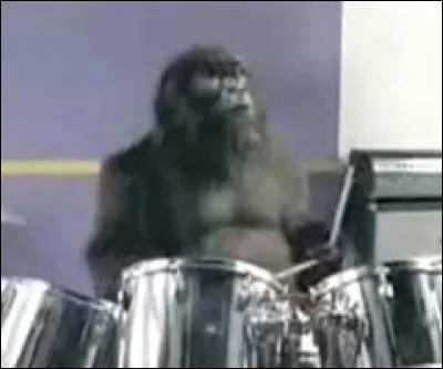 C'est dans la brume que se trouve la réponse !