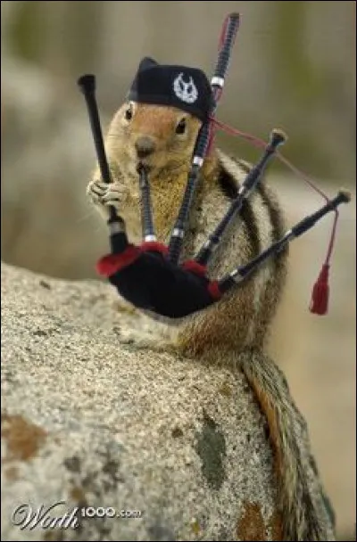 Trouvez le nom d'un film !