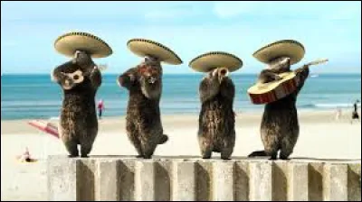 C'est d'une formation musicale qu'il s'agit !