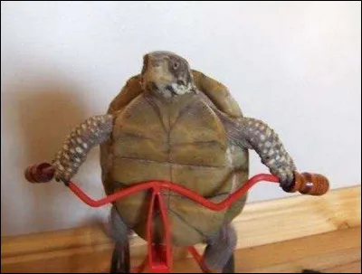 Trouvez la bonne citation !