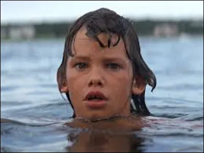 Quel animal voit-on généralement dans le film "Les Dents de la mer" ?