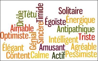 Quel caractère te correspond le plus parmi ceux proposés ?