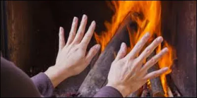 Qui a chanté "Ma main au feu" ?