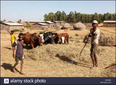 &Agrave; lui la libert&eacute;, c'est l'...