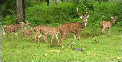 Se trouve dans les hauteurs, c'est l'...