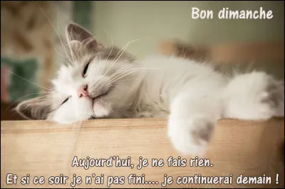 Comment dit-on "dimanche" ?