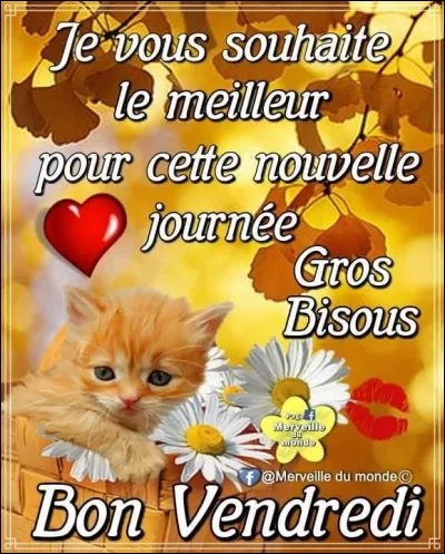 Comment dit-on "vendredi" ?