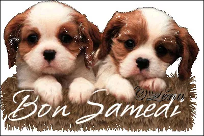 Comment dit-on "samedi" ?