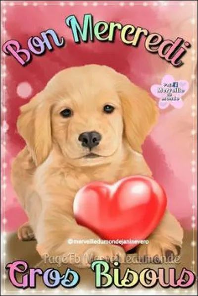 Comment dit-on "mercredi" ?