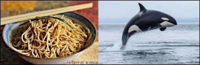 L&agrave;, pour &ecirc;tre honn&ecirc;te, il s'agit d'une ville souvent pens&eacute;e comme &eacute;tant la capitale, mais elle n'est que la plus connue de ce pays !