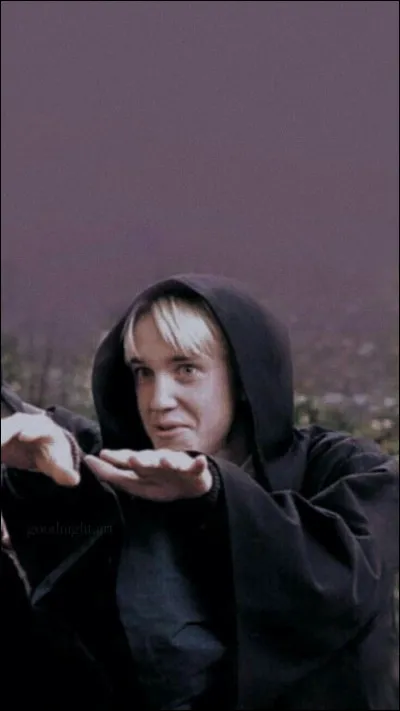 Drago s'est-il mis en couple avec Pansy ?