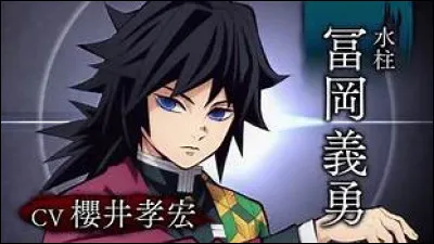 Quel est le nombre de piliers dans Demon Slayer ?