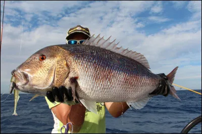 Qu'est-ce qu'une macro ?