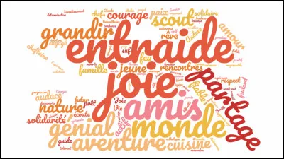 Pour toi faire les scouts c'est :