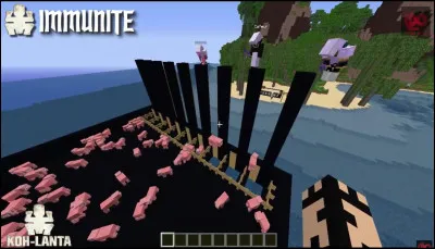 Qui a remport&eacute; l'Immunit&eacute; ?