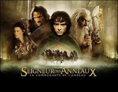 Passons maintenant à un univers semblable avec "Le Seigneur des anneaux". Comment sont appelées les créatures dont fait partie le personnage principal ?