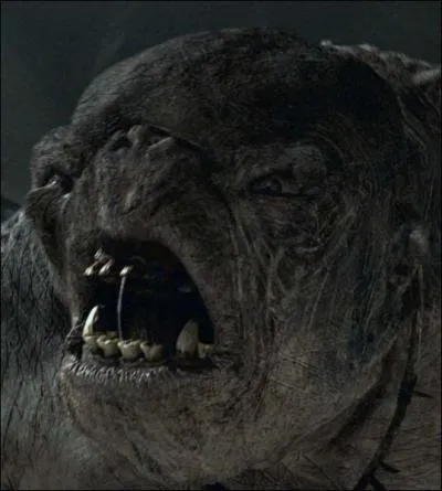 Comment s'appellent ces cratures servant Sauron ?