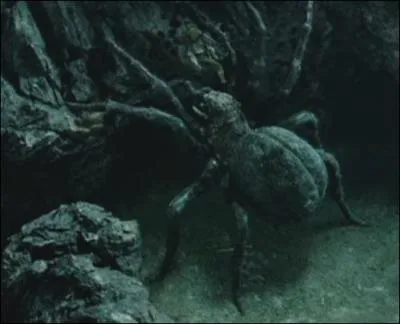 Shelob est :