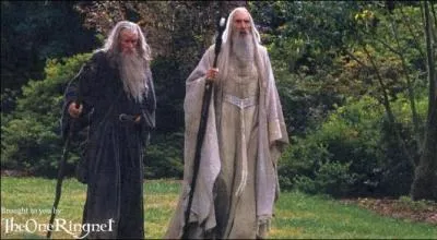 Comment s'appellent ces tres aux pouvoirs magiques ?