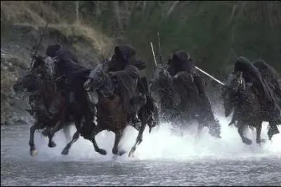 Quel est l'autre nom des Esprits Servants de l'Anneau ?