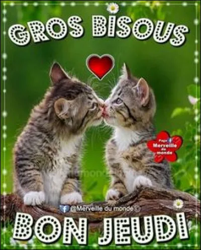 Comment dit-on "jeudi ?