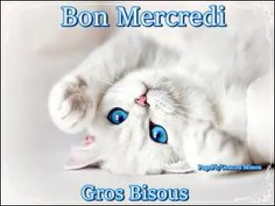 Comment dit-on "mercredi" ?