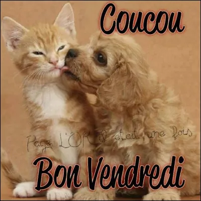 Comment dit-on "vendredi" ?