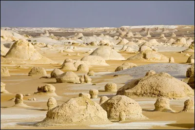 Sur lequel de ces pays ne s'étend pas le désert Libyque ?