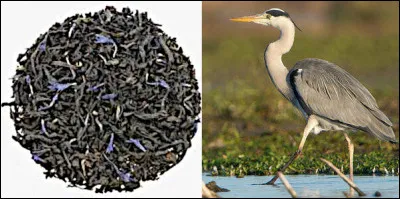 Après cela, vous pourrez d'ors et déjà mettre un tonneau en perce !