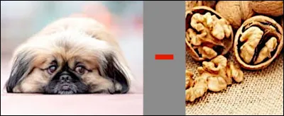 Une nouveauté, le rébus soustractif : il suffit d'ôter le son après le signe "moins" de ce qui a été trouvé précédemment ! Tout cela, en appelant un chien un chien, bien sûr...