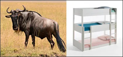 Inutile de se mettre à genoux, allongez-vous, ça ira...