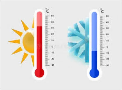 Que préférez-vous ?