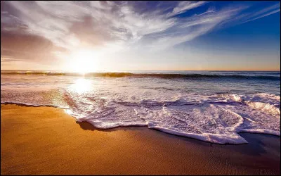 Laquelle de ces choses trouveriez-vous dans la mer ?