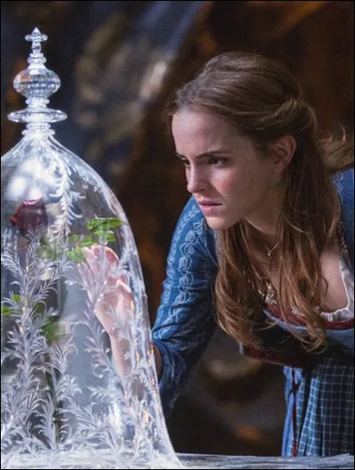 Dans combien de films a-t-elle tourné ?