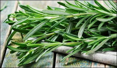 Qu'apercevons-nous ici ?